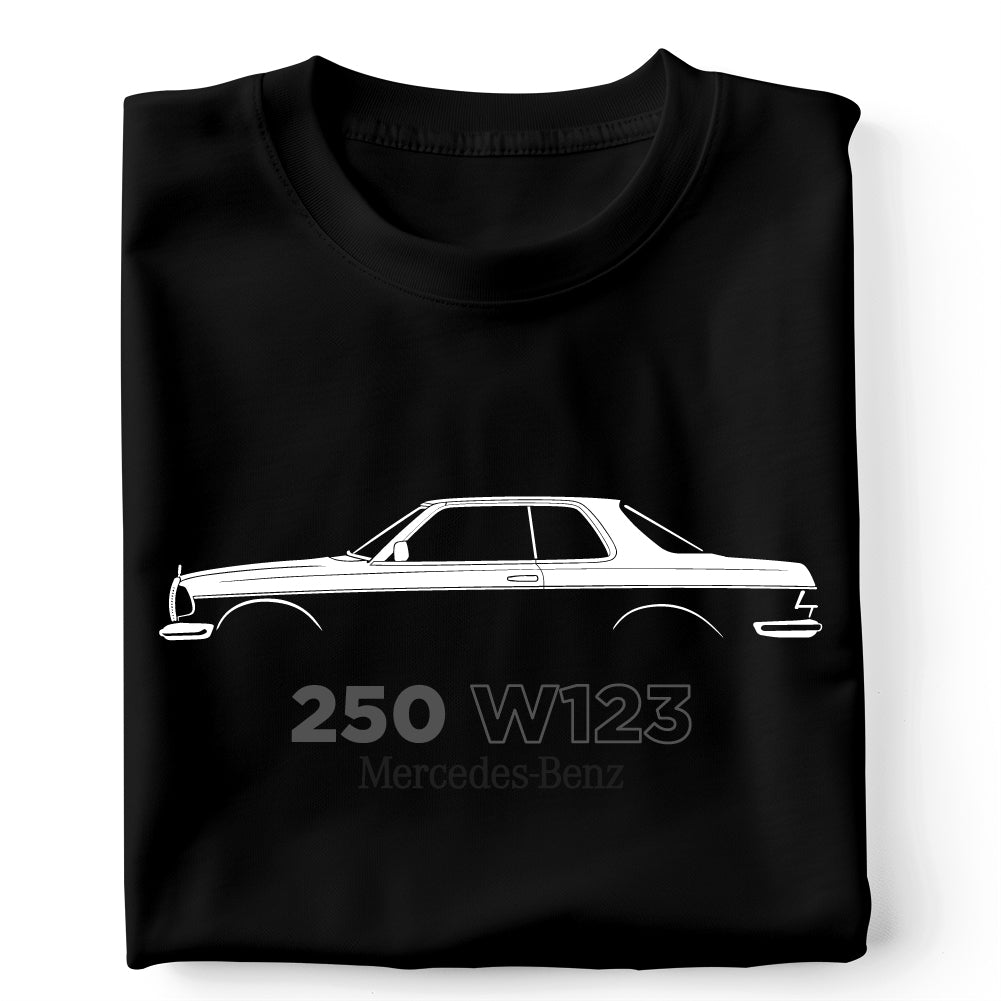 250 W123