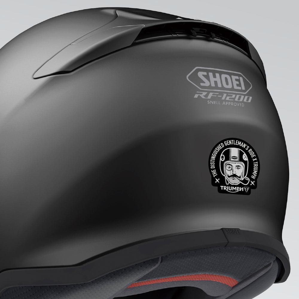 DGR by Triumph Sticker Pack
