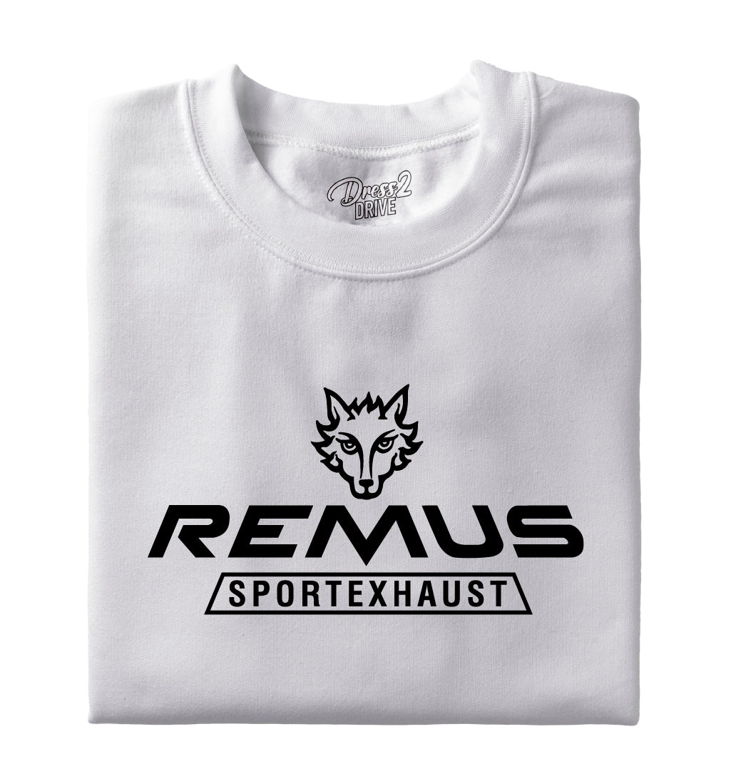 Remus logo 1