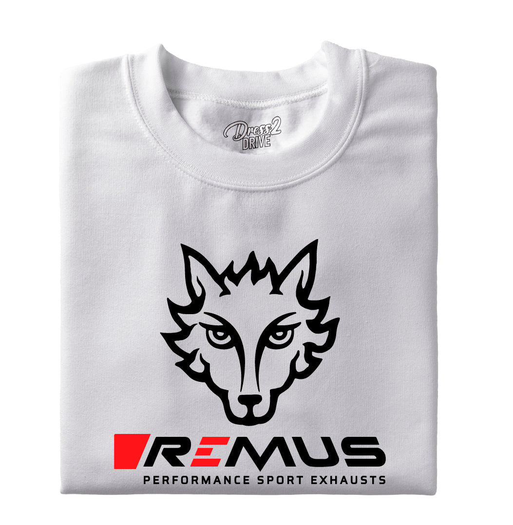 Remus logo 2