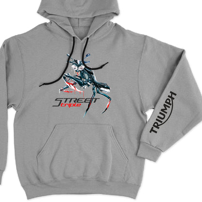 Triumph Street Triple "Mantis" gray
