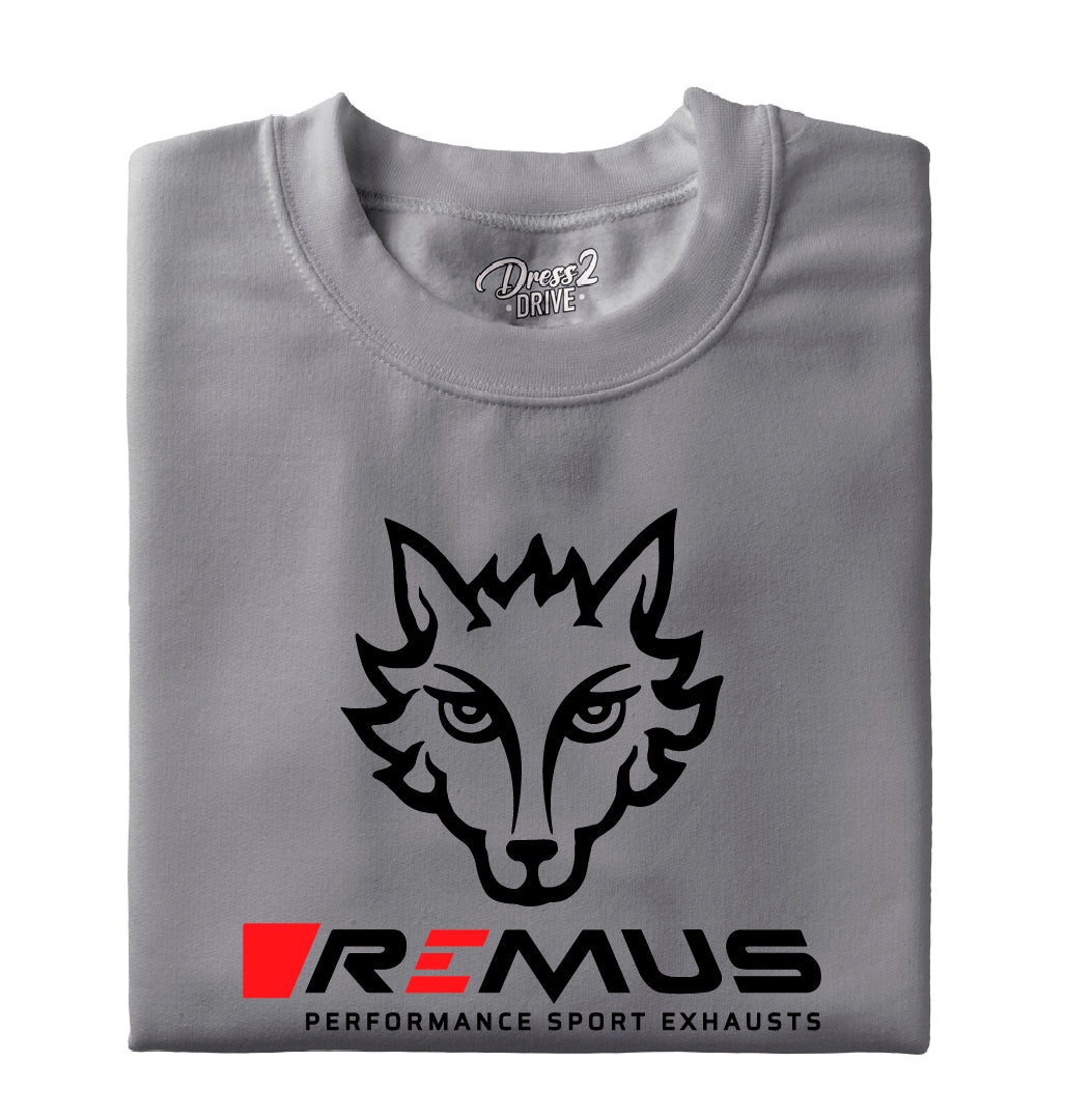 Remus logo 2