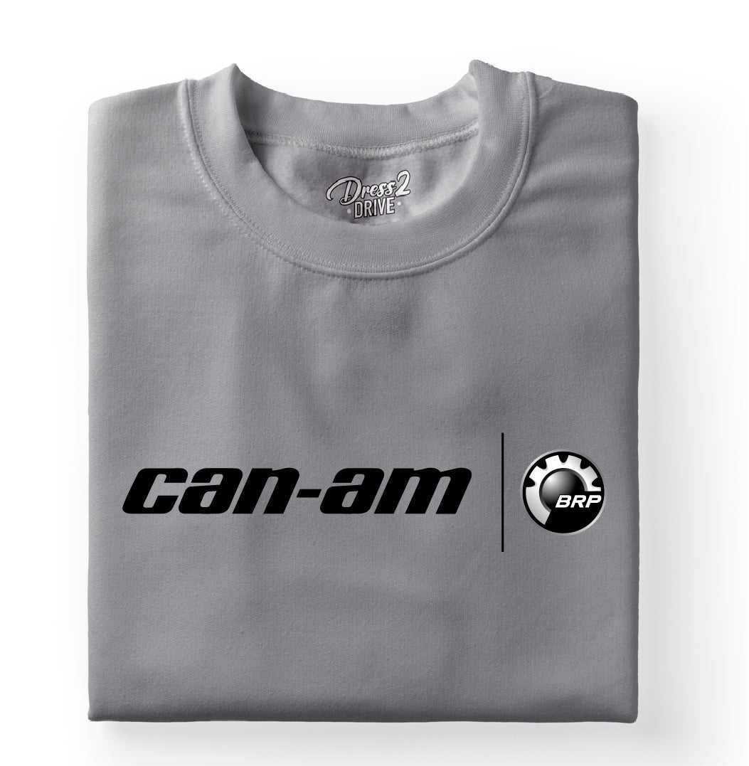 Can-Am logo 3