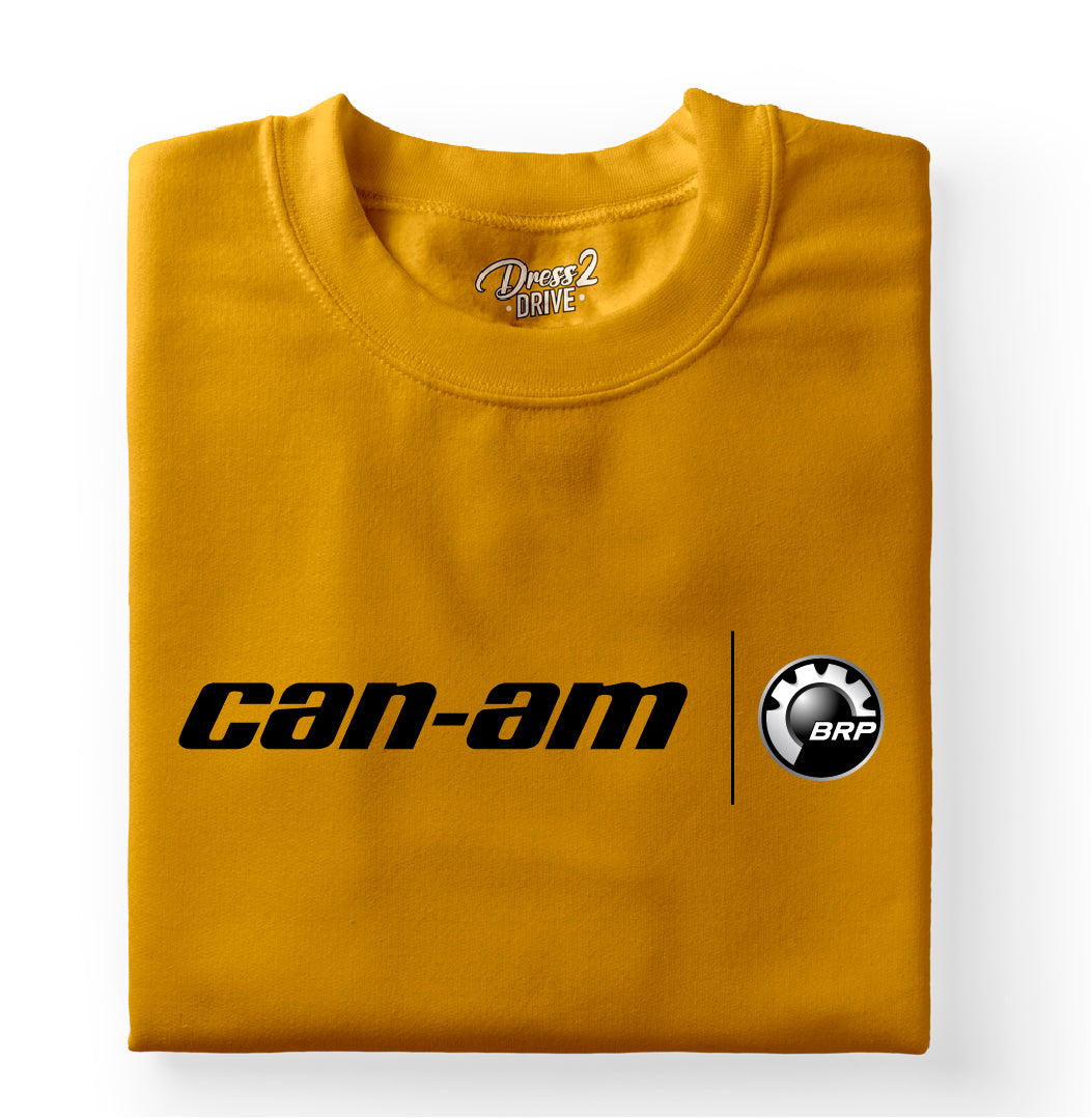 Can-Am logo 3