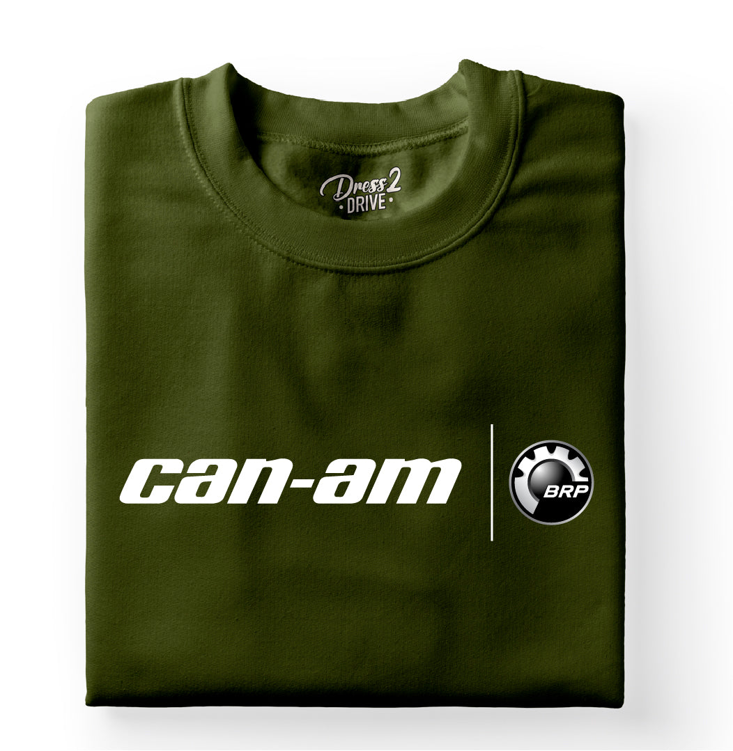 Can-Am logo 3