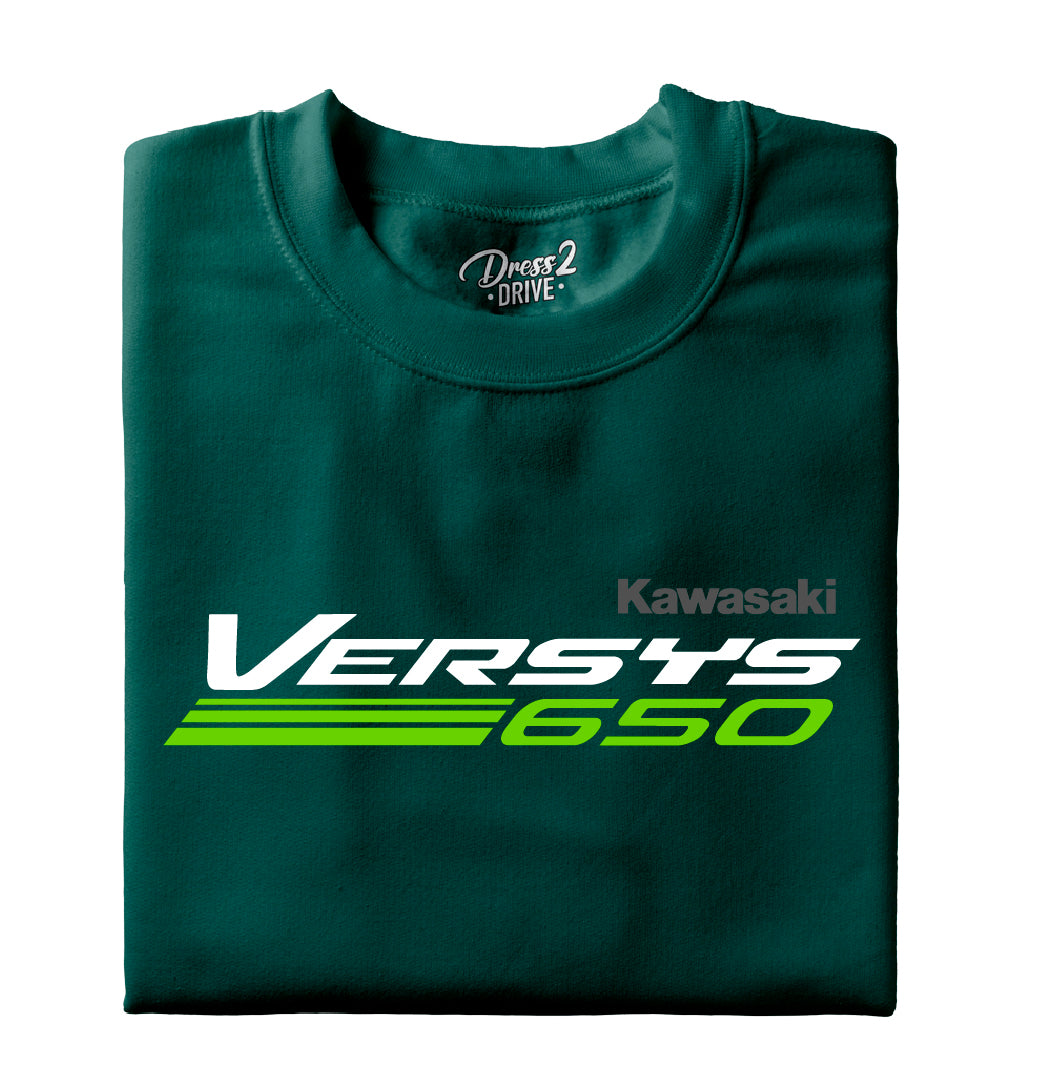 Kawasaki VERSYS 650