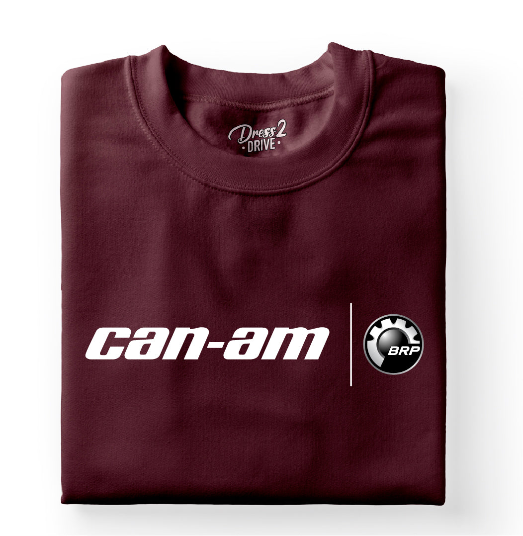 Can-Am logo 3